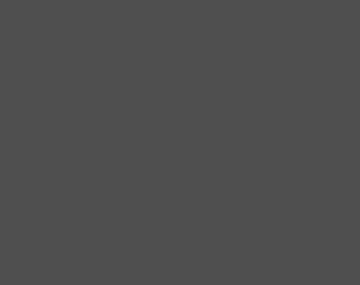 A blank grey startup screen.