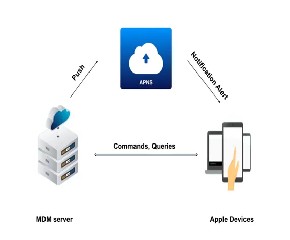 Diagram: the MDM server sends a push notification through APNs, and the device then checks in with the MDM server to receive commands and queries.